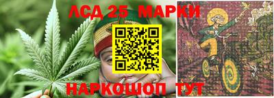 прущие грибы Бугуруслан