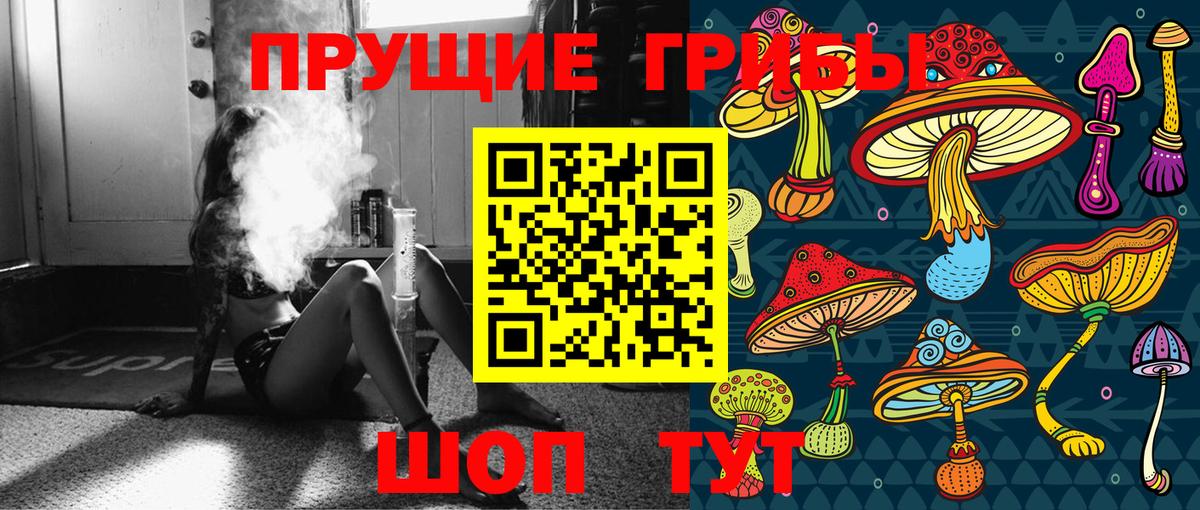 Новотроицк  Псилоцибиновые грибы мицелий  Вход с VPN 