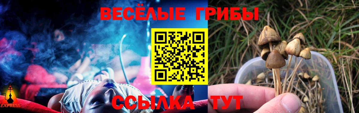 Псилоцибиновые грибы ЛСД Новотроицк