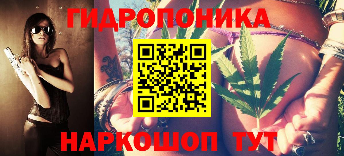 Бошки Шишки ГИДРОПОН Новотроицк